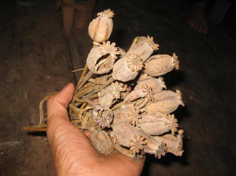 seize 13kg of dried opium from laos to vietnam