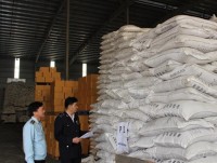 Hai Phong Customs collects 10,700 billion VND to state revenue