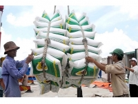 Propose handling traders exporting rice who fail to present correct and enough quantity of goods as declared