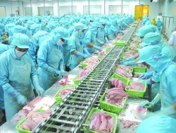 Prepare carefully for seafood export
