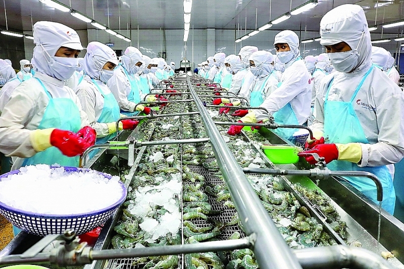Minh Phu Seafood Corporation Joint Stock Company processing shrimp for export. Photo: ST