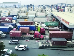 Solutions to reduce import and export costs for businesses: variety of transport methods needed