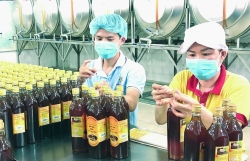 Vietnamese honey cannot compete in the US despite the deep reduction in taxes