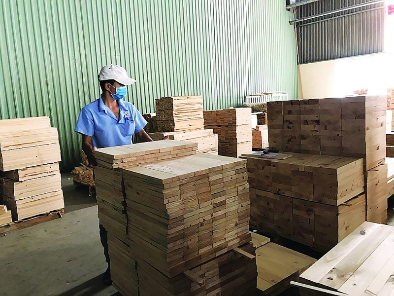 Vietnam's wood processing and export industry is dependent on imported raw materials. Photo: N.Thanh