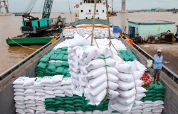 Prevention of price risks before news that Indonesia increases rice imports in reserve