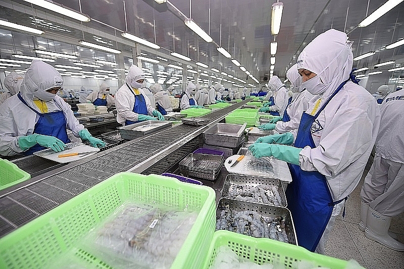 Fimex's export shrimp production line