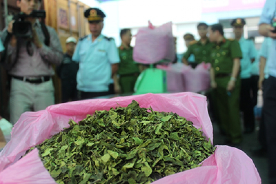 discover tons of khat leaves inside imported container