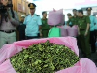 Discover tons of Khat leaves inside imported container