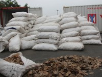 Seizing more than 8 tonnes of pangolin scales in Hai Phong