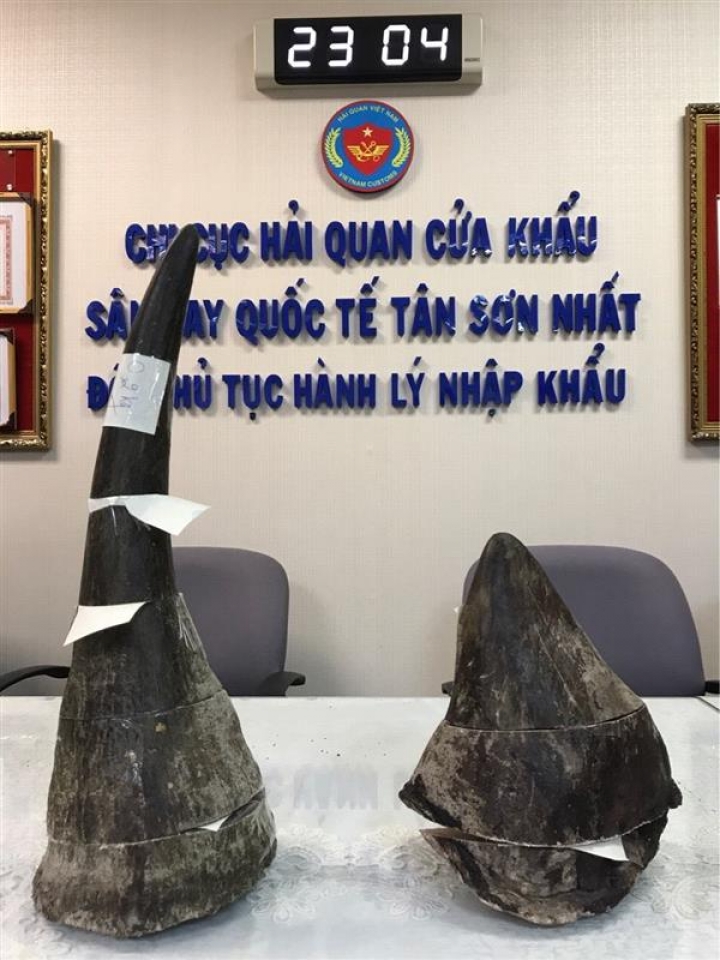discover 2 passengers smuggled rhino horn