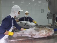 Need to build brand for export seafood