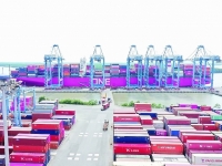 Ba Ria – Vung Tau: Many disadvantages in import – export activities
