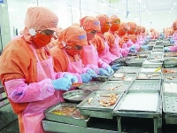 Potential of exporting shrimp to Canada