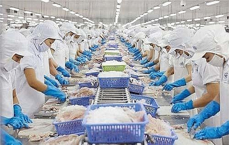 Processing exported seafood