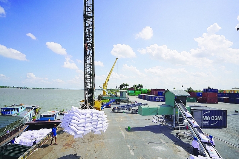Transporting rice from barge to export container at Tan Cang Sa Dec. Photo: TL