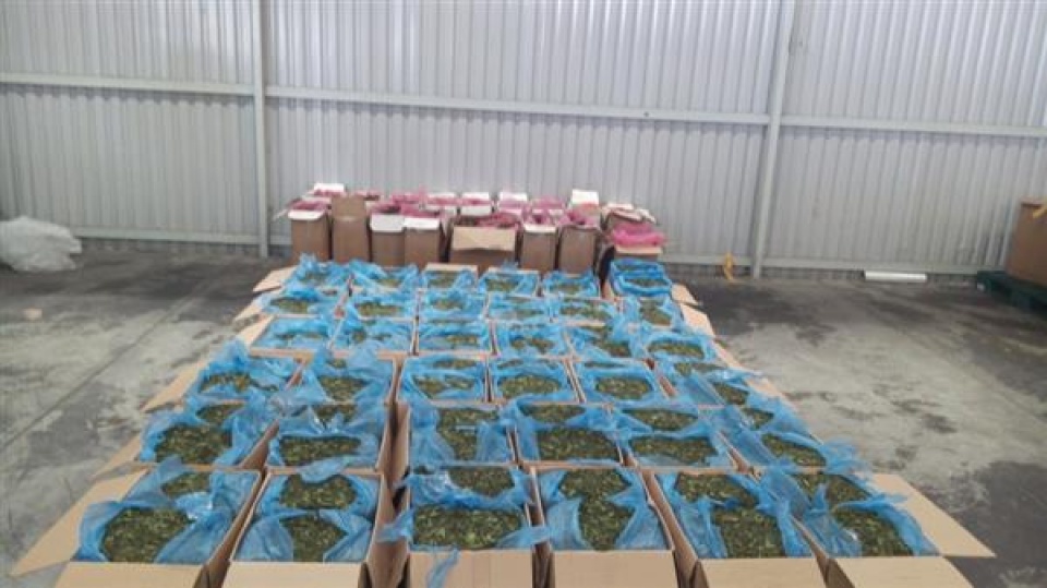 nearly 19 tons of khat leaves imported illegally via postal services