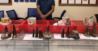 Arrest a male passenger illegally transporting over 7 kg of rhino horn