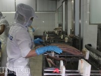 Vietnam tuna scoops Netherlands market