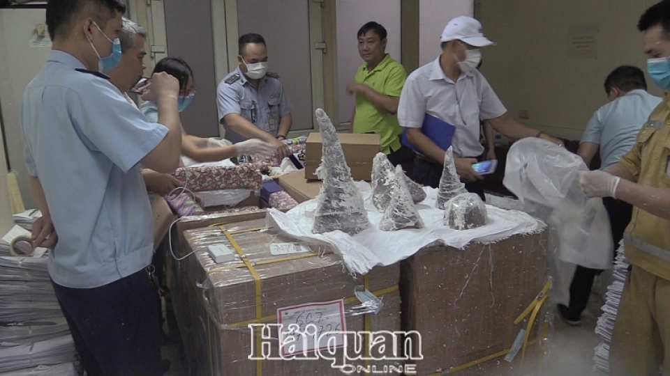 holding in custody 12515kg of rhino horn transported to noi bai international airport