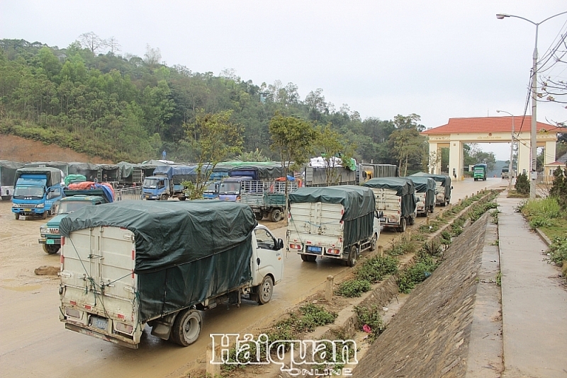 from july 1 binh nghi pinger guan na hinh yingyang and po nhung zha men ai sub border gates will re open