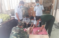 An Giang: Smugglers rent agricultural land to open road for transporting contraband
