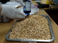 Hanoi Customs successfully closes large specialised project of drug, seizing six people