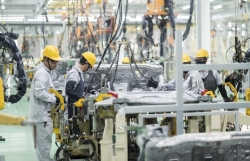 Consider extending preferential tariff programme for automobile manufacturing domestically