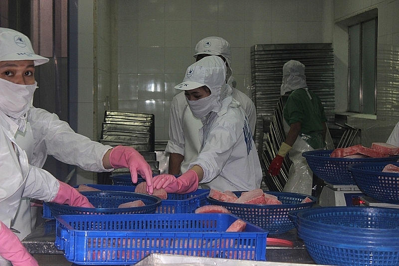 Processing seafood for export at Binh Dinh Seafood Company. Photo: T.H
