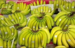 Many advantages but Vietnamese bananas still only account for 1.9% of market share in South Korea