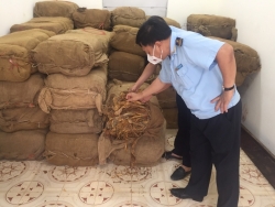 Tra Linh Customs seizes 2.5 tonnes of tobacco materials