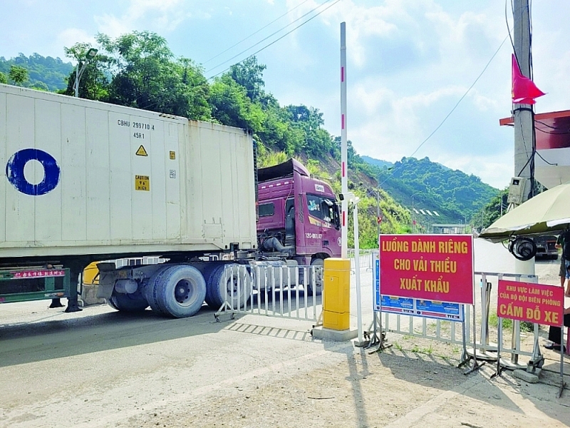 Means of transporting fresh lychees are arranged with priority in separate lanes at Tan Thanh border gate. Photo: H.Nu