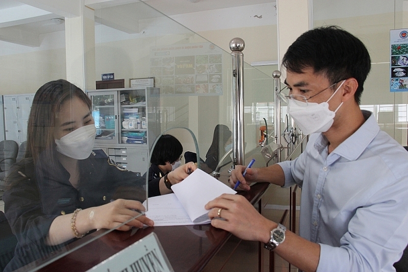 Ninh Binh Customs officer (Ha Nam Ninh Customs Department) instructs business to carry out customs procedures. Photo: H.Nụ