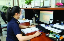 Hanoi Customs: Building a online professional environment
