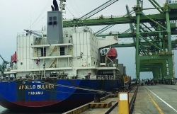 Ha Tinh Customs and enterprises promote seaport economy