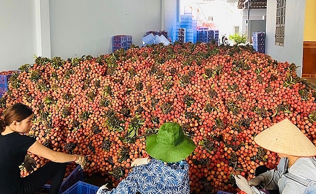 decrease in exports of fruit and vegetable to china jump in thailand