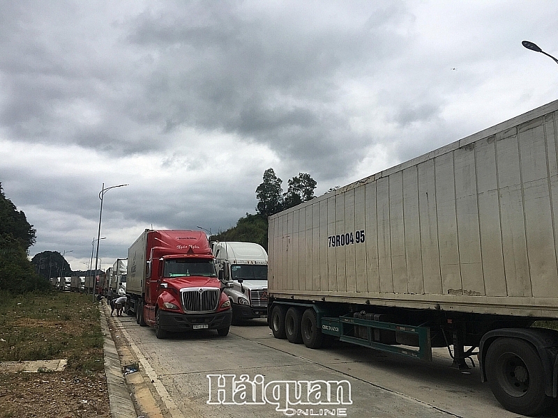 regulate quickly the volume of goods transporting to tan thanh border gate