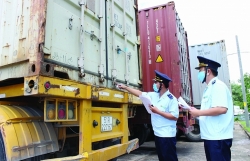 Long An Customs: Maintain stable export activities, increase revenue
