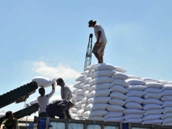 Sugar imports from five ASEAN countries increased by 10 times