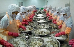 Seafood exports in July drop sharply