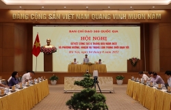 Deputy Prime Minister Pham Binh Minh: Identifying and specifying areas of smuggling, trade fraud and counterfeit goods
