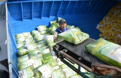 Profits of enterprises exporting rice are different