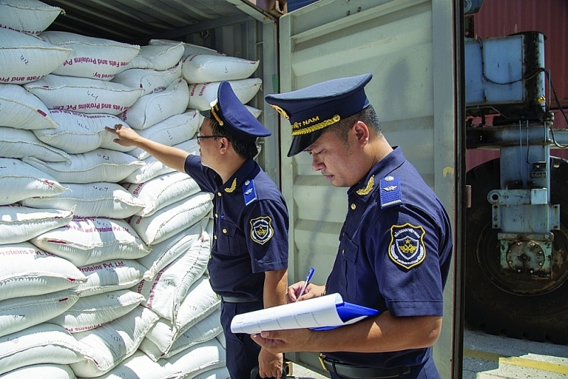Binh Dinh Customs officers check imported goods. Photo: Hồng Hoàng