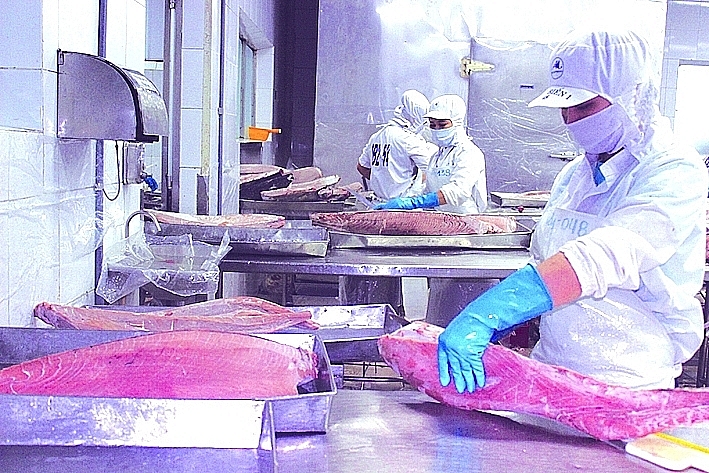 The price of animal feed has increased by about 20% since the pandemic, greatly affecting businesses in the seafood industry. Photo: T.Hoa
