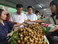 Vietnam longan was “blew the whistle” when exporting to Australia