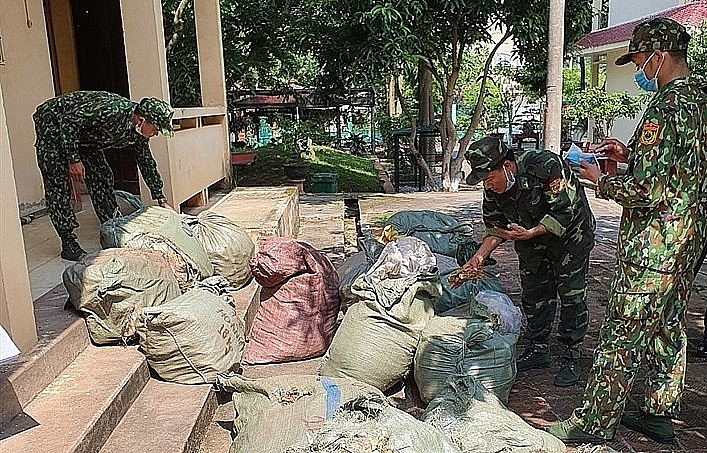 lang son continue to seize smuggled herb materials