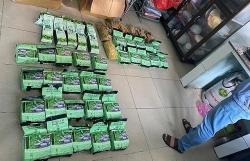 Nearly 50kg of narcotics disguised in fruit basket