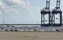 Automobiles imported through HCM City ports decrease by nearly 20,000 units
