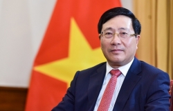 Deputy Prime Minister Pham Binh Minh appointed as Director of National Steering Committee 389
