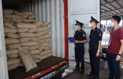 Mong Cai Customs collects more than VND1.6 billion from handling violations