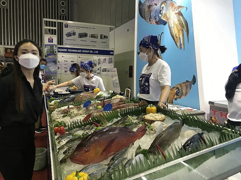 Seafood processing enterprises strive to comply with the source of raw materials. Photo: T.H